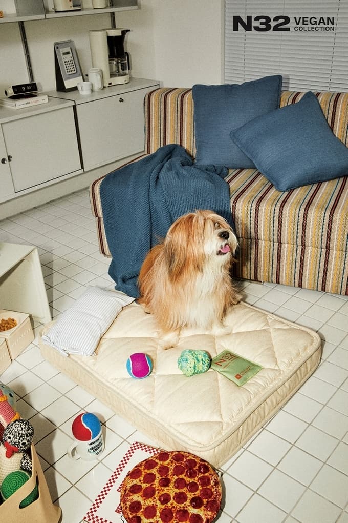 Simmons Launches ‘N32 Jjokkomi’ Pet Mattress